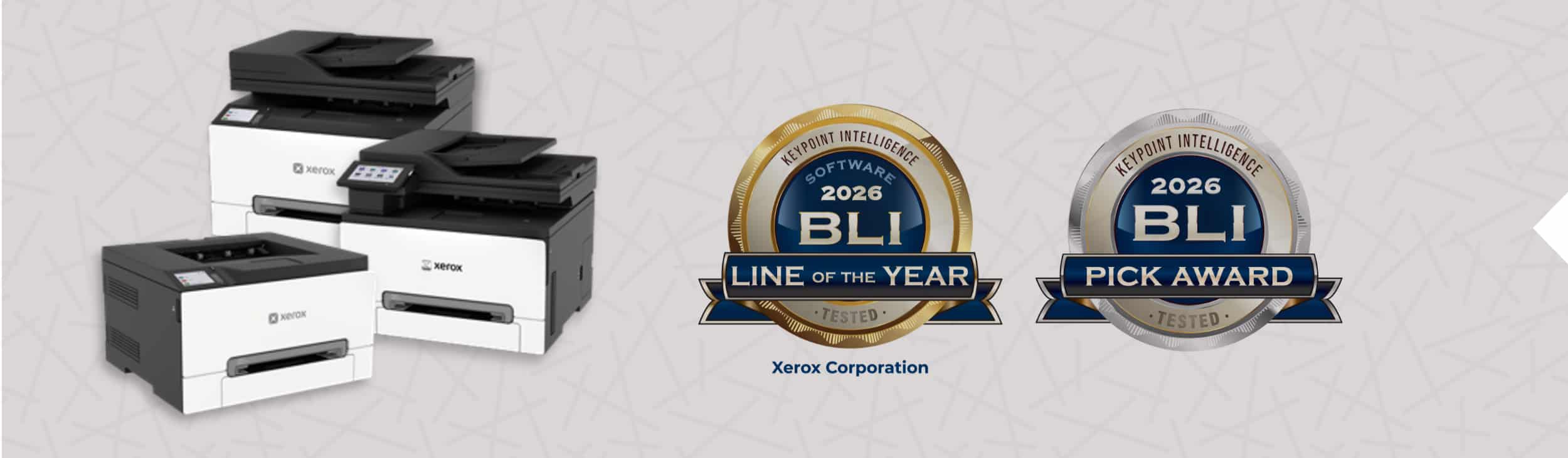 Dörwang GmbH - Headergrafik - Xerox BLI Award